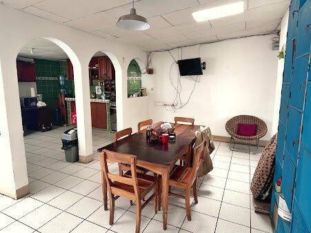 Casa Floresta's cozy patio with hammocks and lush greenery in San Juan del Sur, Nicaragua