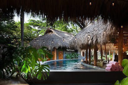 the SPACE. Jungle Oasis – Boutique Jungle Retreat with Pool and Co-Working Facilities Near San Juan del Sur, Nicaragua view of the interior looking out into the jungle.