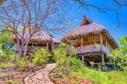Communal rancho at Eden on the Chocolata featuring open-air dining with panoramic jungle and ocean vistas
