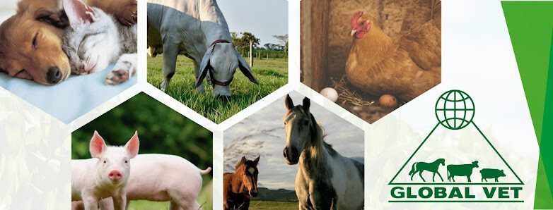 Global Vet Veterinary Supplies Managua Veterinary Supplies and Services in Managua, Nicaragua