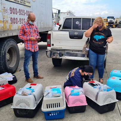 Dog inside crate being handled for international relocation by Planet Pet Relocation team