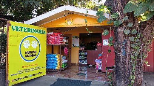 Veterinary Animal World, Managua veterinary clinic, pet health services Nicaragua, pet supplies Managua, animal hospital Managua