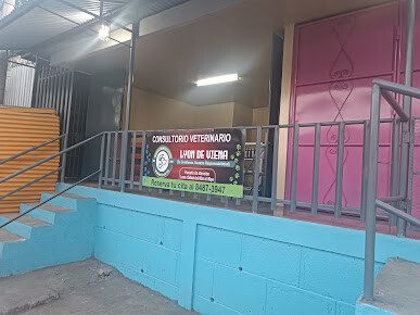 Exterior view of Clínica Veterinaria Lyon de Viena in Managua, Nicaragua