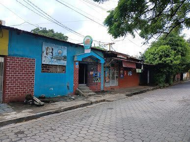 Veterinaria El Arca – Comprehensive Veterinary Services and Pet Supplies in Managua, Nicaragua