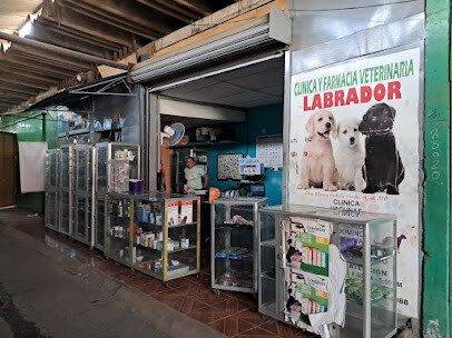 Exterior view of Clínica y Farmacia Veterinaria Labrador in Managua, Nicaragua