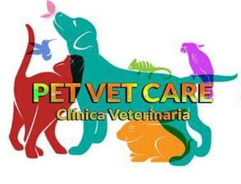 Clínica Veterinaria Pet Vet Care – 24/7 Bilingual Veterinary Services with Home Visits in Managua, Nicaragua