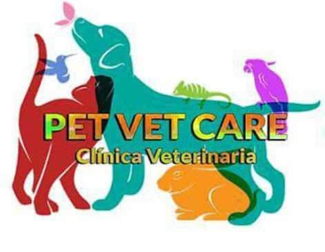Clínica Veterinaria Pet Vet Care – 24/7 Bilingual Veterinary Services with Home Visits in Managua, Nicaragua