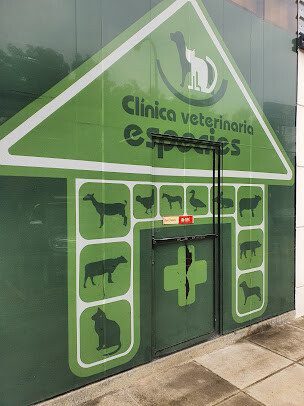 Exterior view of Hospital Veterinario Especies in Managua, Nicaragua