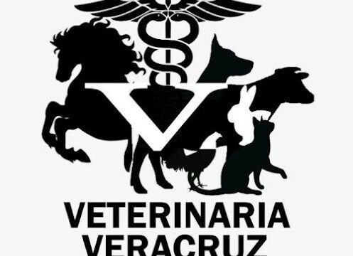 Veterinaria Jardines de Veracruz – Trusted Pet Care and Supplies in Managua, Nicaragua