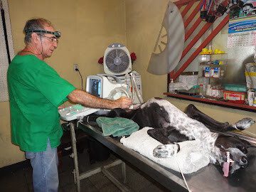 Exterior view of Clínica Veterinaria 14 de Septiembre in Managua, Nicaragua