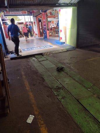 Exterior view of Veterinaria Dog's House in Managua, Nicaragua