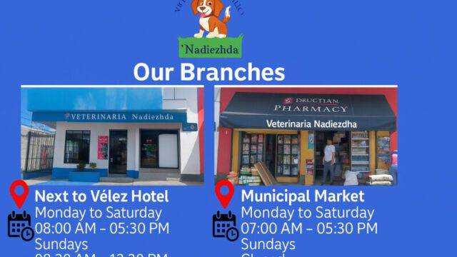 Veterinaria Nadiezhda Veterinary Pharmacy Poster of Services