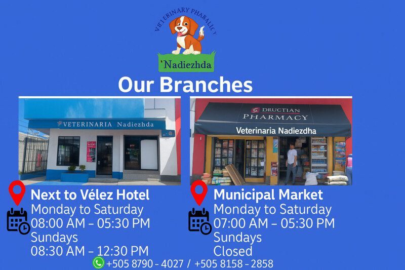 Veterinaria Nadiezhda Veterinary Pharmacy Poster of Services