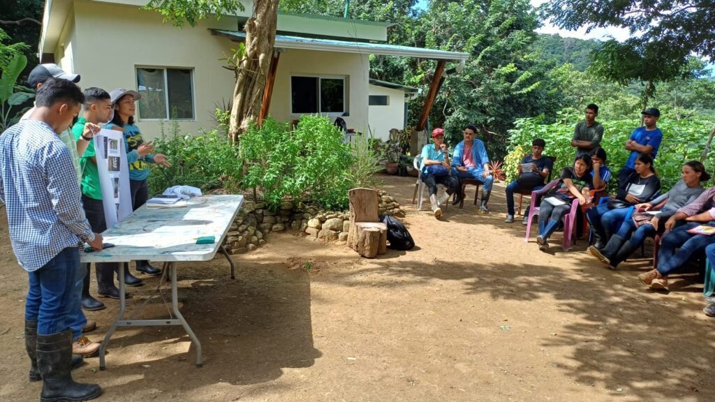 Poolside view at La Armonía eco resort with jungle surroundings, San Juan del Sur