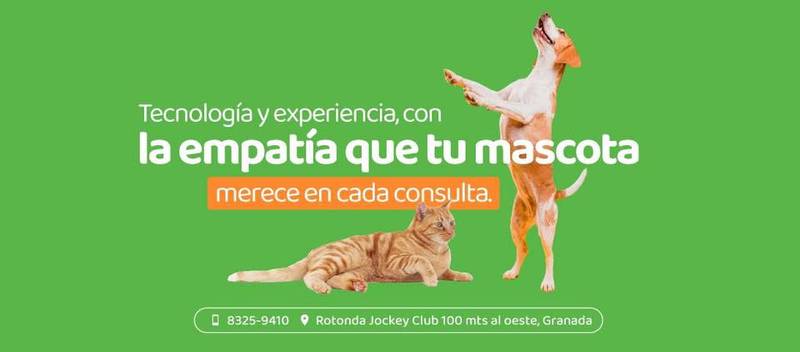 Steps Veterinary Clinic in Granada – vet clinic & pet relocation services