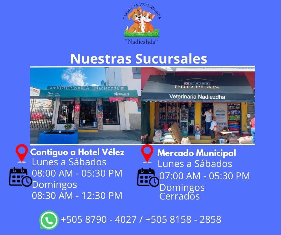 Clinic pharmacy & veterinary facility “Farmacia Veterinaria Nadiezhda” in San Juan del Sur