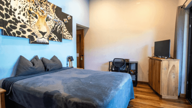 View 2 of Bedroom 1 in main house of equestrian estate listed by Discover Real Estate