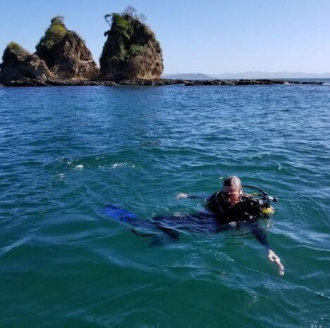 Organic farm produce and permaculture gardens at Armonia Farm in Escamequita