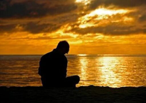 Bayardo professional performing garden care and pool maintenance service