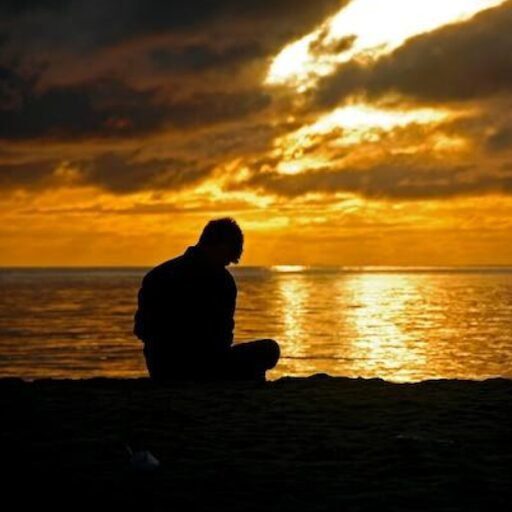 Bayardo professional performing garden care and pool maintenance service