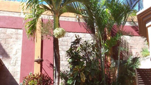 3 Palms Granada image from outside with palm trees
