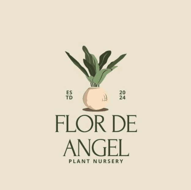 Logo for Flor de Angel Plant Nursery